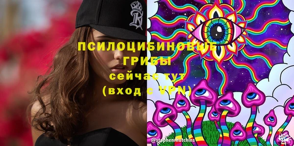 дживик Баксан