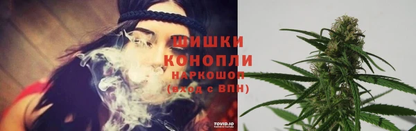 дживик Баксан