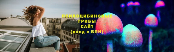 дживик Баксан