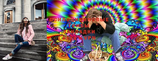 дживик Баксан