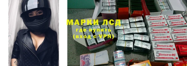 дживик Баксан