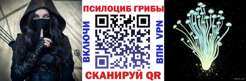 Купить закладки  Гусиноозёрск  Галлюциногенные грибы ЛСД 